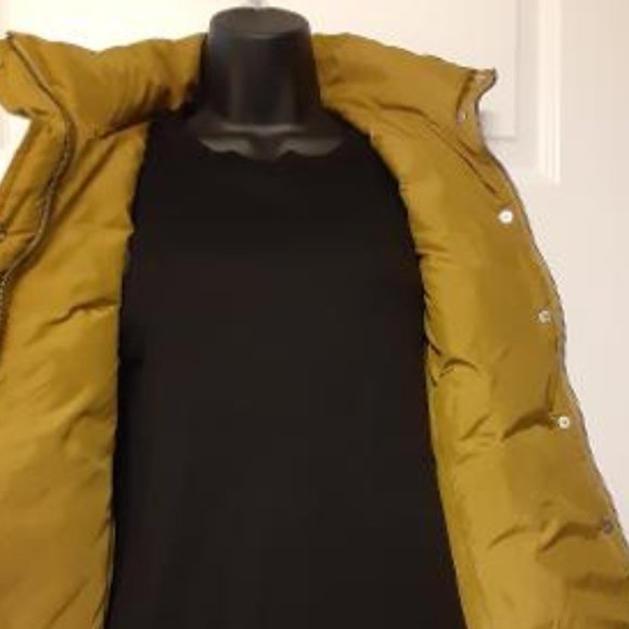 Winter Wonderland with  Outerwear J Crew Vest - Picture 3 of 7